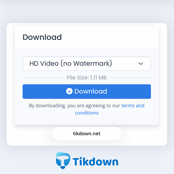 Passo 4 : Escolher Formato do Vídeo